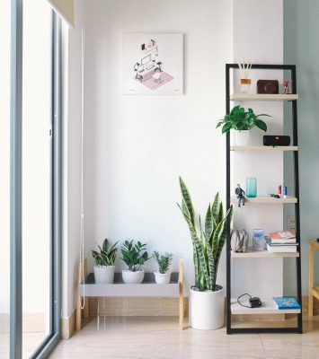 shelves with plants